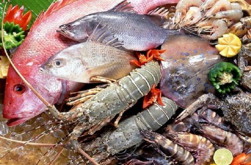 Hải sản biển Sầm Sơn Thanh Hóa